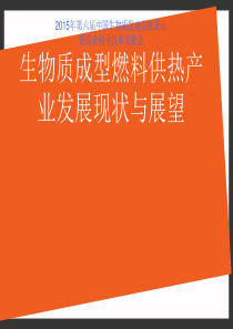 生物质成型燃料供热产业发展现状与展望