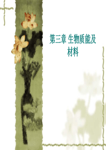 生物质能及新材料