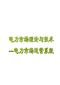 电力市场理论与技术-电力市场运营系统