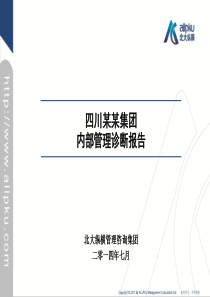 2某集团内部管理诊断报告