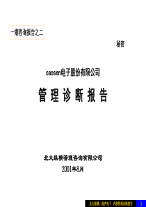 caosen电子股份有限公司内部管理诊断报告