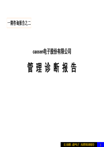 caosen电子股份有限公司内部管理诊断报告(1)