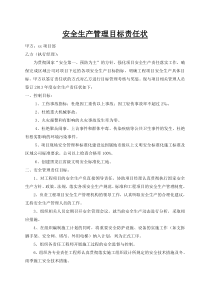 安全生产管理目标分解责任状责任制