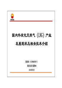 国内外液化天然气(LNG)产业及技术介绍