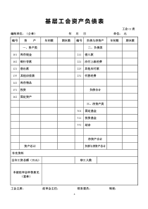 基层工会资产负债表