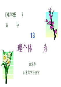 13领导-理解个体行为