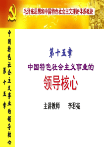 15-中国特色社会主义事业的领导核心