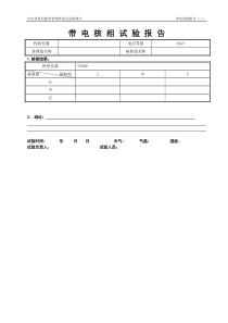 带电核相试验报告