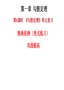 2018年秋八年级数学上册北师大版课件：第一章勾股定理单元复习