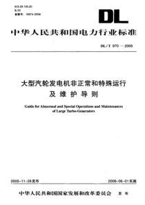 DLT9702005大型汽轮发电机非正常和特殊运行及维护导则