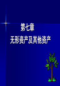 中级财务会计 无形资产及其他资产