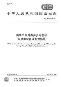 GB302542013高压三相笼型异步电动机能效限定值及能效等级