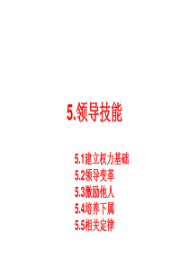 5领导技能