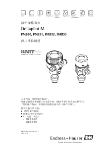 E+H DeltaPilot M FMB50-53 HART 静压液位测量简明操作指南