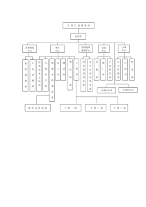 系统集成公司组织结构图