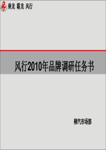 风行品牌2010年品牌调研任务书