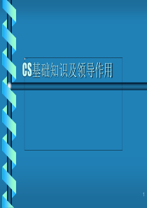 CS基础知识及领导作用（PPT40页）