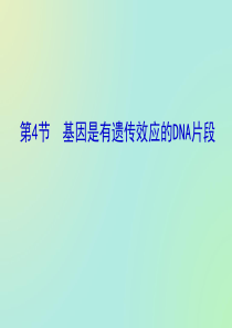 基因是有遗传效应的DNA片段