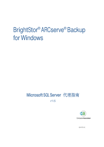 BrightStor ARCserve Backup for Windows Microsoft S