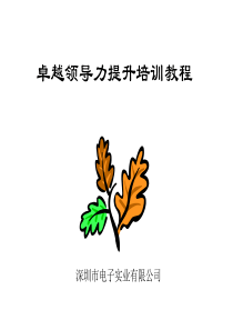 卓越领导力提升培训教程1