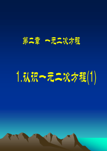 2.1认识一元二次方程(1)课件(北师大版九年级上)