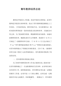 青年教师培养总结