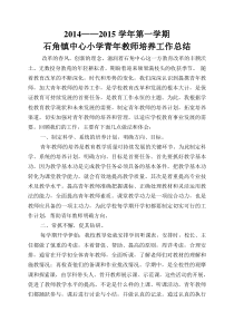 小学青年教师培养总结