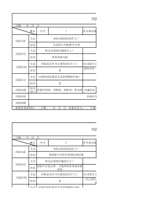 信息安全项目风险管理记录