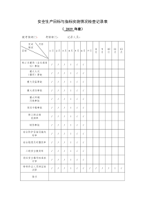 2019年安全生产目标与指标实施情况检查记录表