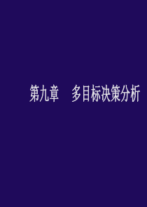 9多目标决策分析