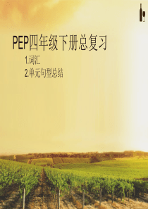 PEP四年级英语下册总复习