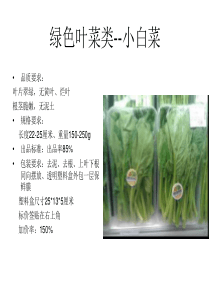 精品蔬菜包装规范