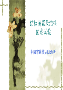 结核菌素及结核菌素试验