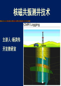 核磁共振测井技术CMR及应用