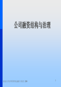 公司融资结构与治理最新北大MBA教材