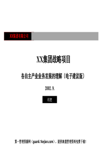 xx集团战略-现有业务分析分报告电子