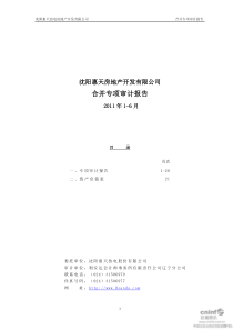 沈阳惠天热电房地产开发有限公司合并专项审计报告