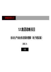 xx集团战略－现有业务分析分报告电子(ppt 55)