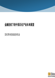 金融危机下的中国石化产业未来展望