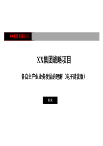 XX集团战略－现有业务分析分报告电子（PPT 55页）