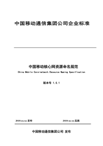 中国移动核心网资源命名规范V1.0.1