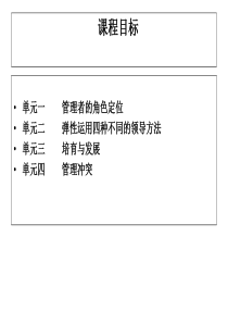 提升领导力经典实用课件卓越领导力艺术