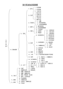 初中英语知识结构图