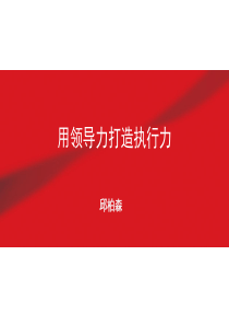 用领导力打造执行力（PPT36页)