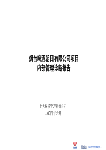 内部管理诊断报告