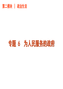 【政治】2011届高考二轮专题复习课件(人教版)：专题 6 为人民服务的政府-练习