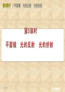 2012届中考物理考点冲刺复习课件5平面镜 光的反射 光的折射