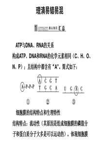 2010届高三生物高考二轮专题复习课件：第三部分理清易错易混新人教版