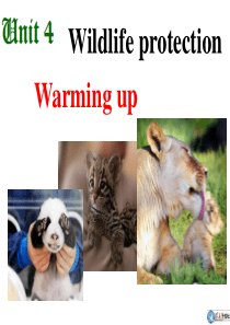 必修2-unit-4-wildlife-protection-Warming-up