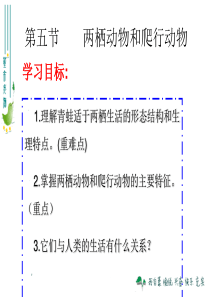 第五节、两栖动物和爬行动物(上课用课件) (1)